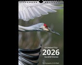 Articolo da questo negozio