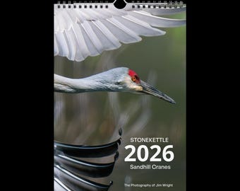 Wall calendar (2026) Sandhill Cranes #1