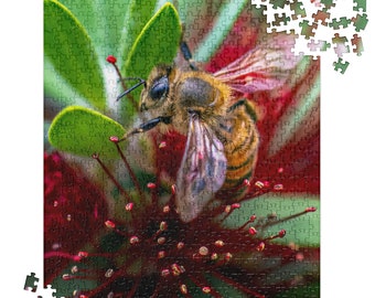 Honey Bee Puzzle