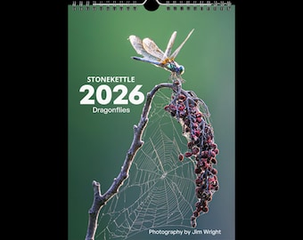 Wall calendar (2026) Dragonflies #1