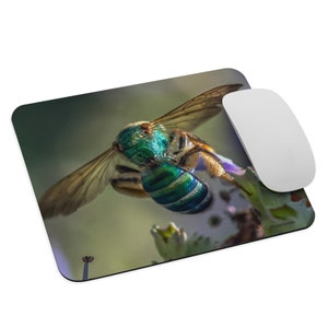 May include: A close-up of a green and blue bee with iridescent wings, perched on a purple flower.