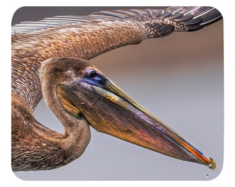 Brown Pelican MOUSE PAD