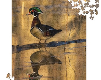 Wood Duck #1 PUZZLES