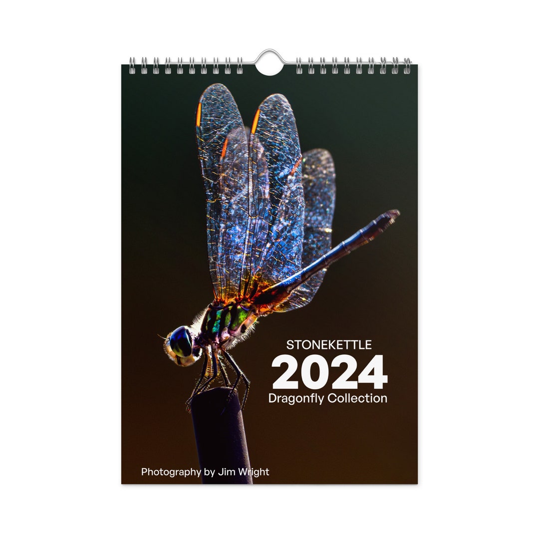 Dragonflies CALENDAR 2024 Etsy