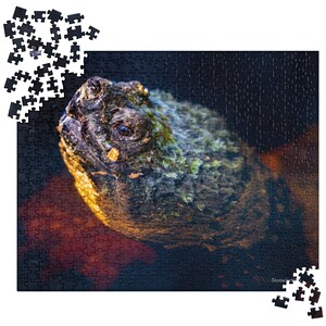 Puzzle de tortue serpentine