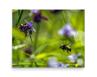 Bumble Bee #24-6 PRINT