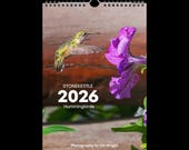 Articolo da questo negozio