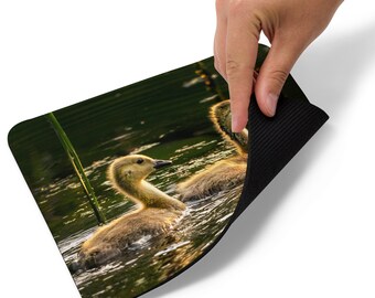 Canada Goslings MOUSE PAD