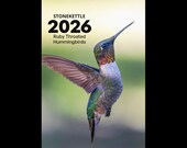 Articolo da questo negozio