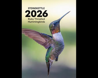 Wall calendar (2026) Ruby Throated Hummingbirds #2