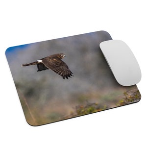 Northern Harrier #27 MOUSE PAD