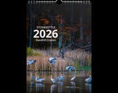 Articolo da questo negozio