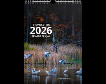 Wall calendar (2026) Sandhill Cranes #2
