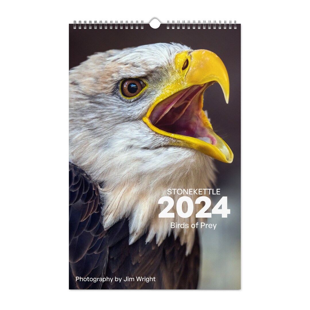Birds of Prey CALENDAR 2024 Etsy