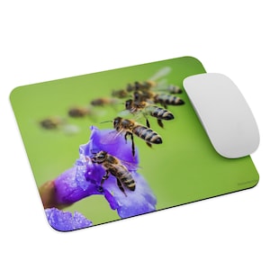 May include: A close-up of a purple flower with several bees hovering around it. The bees are flying in a line, with the one closest to the flower landing on the petal. The background is a bright green.