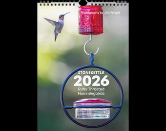 Wall calendar (2026) Ruby Throated Hummingbirds #3