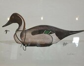 Decoy By David Killen Framed Print S N Pintail Duck