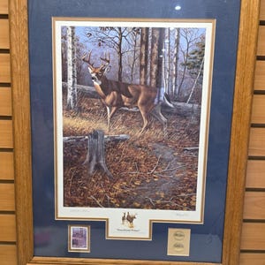 May include: Framed print of a deer in a forest setting. The artwork features a brown and white deer with large antlers standing in a wooded area with birch trees. The print is framed in a wooden frame with a blue matting and the text "Woodland Prince".