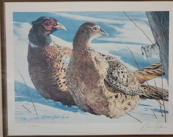1987 Ringneck By Brian Jarvi Framed Print S/N MN Pheasant Habitat Stamp