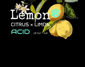 Dark Heather Lemon Shirt, Y2K Botanical Tee, Grunge Aesthetic Clothing, Citrus Limon Graphic Top, Unisex Alternative Fashion