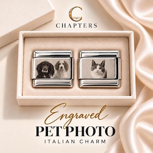 May include: Two rectangular silver-toned Italian charm links featuring laser-engraved pet portraits. One link displays two dogs, and the other shows a cat. The charms are presented in a beige box with the text "CHAPTERS" and "Engraved PET PHOTO ITALIAN CHARM".