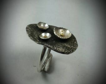 SOLD.                             Reticulated Sterling Silver and Gold Ring