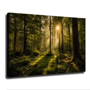 Puede incluir: Un lienzo rectangular que muestra una escena de bosque denso con árboles altos y follaje verde. La luz dorada del sol se filtra a través del dosel, creando rayos brillantes y largas sombras sobre el suelo del bosque cubierto de hierba.