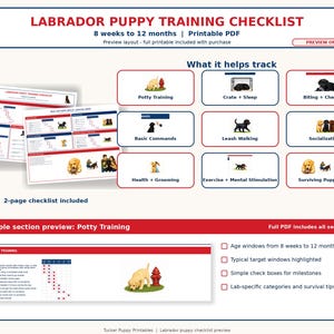 May include: A Labrador puppy training checklist printable PDF for ages 8 weeks to 12 months. The document features sections for potty training, crate sleep, biting, commands, leash walking, socialization, health, grooming, and mental stimulation.