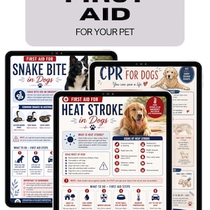 May include: A collection of three digital educational posters titled Your Guide to First Aid for Your Pet, featuring detailed infographics on managing snake bites, CPR, and heat stroke in dogs with clear text, icons, and photographic imagery.