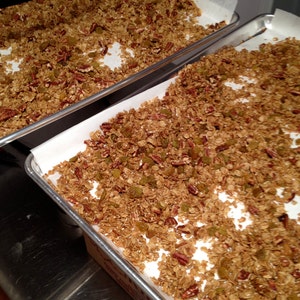 May include: Two metal baking trays filled with homemade granola. The granola is a mix of golden brown oats, pecans, and green raisins, spread on white parchment paper. The trays are on a stainless steel surface.