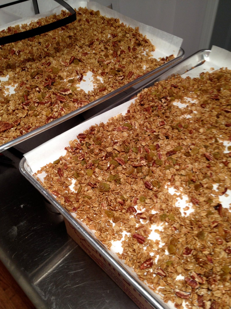 May include: Two metal baking trays filled with homemade granola. The granola is a mix of golden brown oats, pecans, and green raisins, spread on white parchment paper. The trays are on a stainless steel surface.