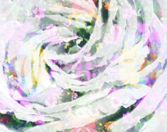 Fleur de Dieu - Blank Greeting Card