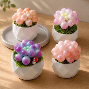 May include: Four small white geometric ceramic pots each containing a succulent-like plant made of smooth, rounded, glossy spheres in shades of peach, pink, and purple, with one plant featuring a tiny red and white mushroom accent nestled in green moss.