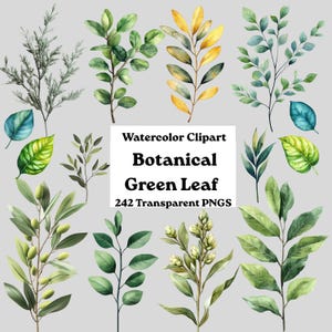 May include: A collection of watercolor botanical illustrations featuring various green and yellow leaves, branches, and buds. A central white rectangular label displays the black text: Watercolor Clipart Botanical Green Leaf 242 Transparent PNGS.