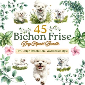 Op de afbeelding: Een digitaal clipart-pakket met aquarelillustraties van witte Bichon Frise honden in verschillende houdingen, omringd door groen gebladerte en roze bloemen. De tekst luidt 45 Bichon Frise Dog Clipart Bundle, PNG, high Resolution, Watercolor style.