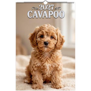 Cavapoo Wall Calendar 2027