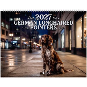 German longhaired pointer Wall Calendar 2027