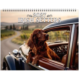 Irish Setter Wall Calendar 2027
