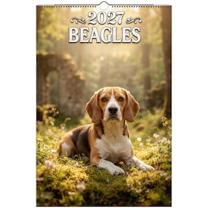 Puede incluir: Un calendario de pared 2027 que muestra a un perro Beagle tumbado en un claro de bosque soleado y cubierto de hierba. El texto 2027 BEAGLES está impreso en blanco en la parte superior. El calendario está encuadernado con una espiral plateada.