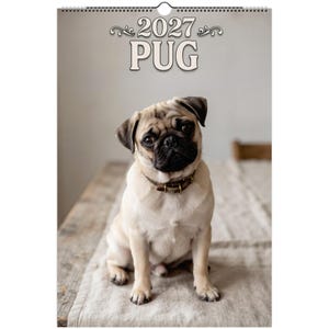 May include: A 2027 wall calendar featuring a fawn-colored pug with a black muzzle and a dark collar. The top of the calendar displays the text 2027 PUG in a bold, serif font with decorative flourishes. The pug is sitting in a forward-facing position.
