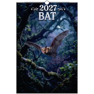 May include: A 2027 wall calendar featuring a brown bat in flight against a dark, moody forest background. The text 2027 BAT is printed in white at the top. The calendar is bound with a silver wire coil at the top edge for hanging on a wall.