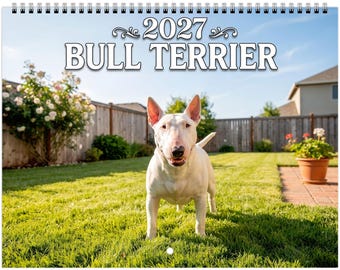 Bull Terrier Wall Calendar 2027