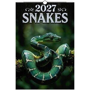Könnte beinhalten: Ein Wandkalender für 2027 mit dem Titel SNAKES, der ein hochauflösendes Foto einer leuchtend grünen Schlange mit weißen Markierungen zeigt, die sich um einen moosigen Ast windet. Der Text 2027 SNAKES steht in großen weißen Buchstaben oben.