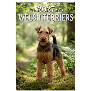 May include: A 2027 wall calendar featuring the text 2027 WELSH TERRIERS at the top. The image displays a tan and black Welsh Terrier standing on a mossy, green forest floor with blurred trees and foliage in the background.