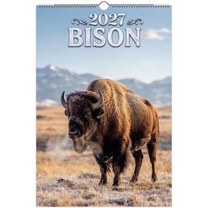 May include: A 2027 wall calendar featuring a large brown bison standing in a frost-covered field with mountains in the background. The text 2027 BISON is printed in white at the top of the calendar, which is bound by a silver metal spiral coil.