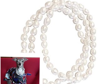 Baroque Pearl Dog Necklace , Freshwater Pearl Stretch Pet Necklace ,Pet Stretch Choker,June Birthstone,Designer Pet Jewelry,Gift For Her