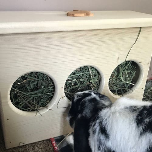 Rabbit Hay Feeder Mini Etsy UK