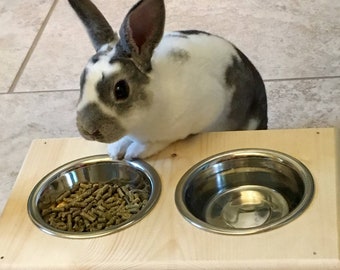 Bowl holder for pet bunny rabbit, food bowl, water bowl