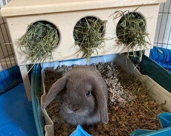 Elevated bunny rabbit hay feeder