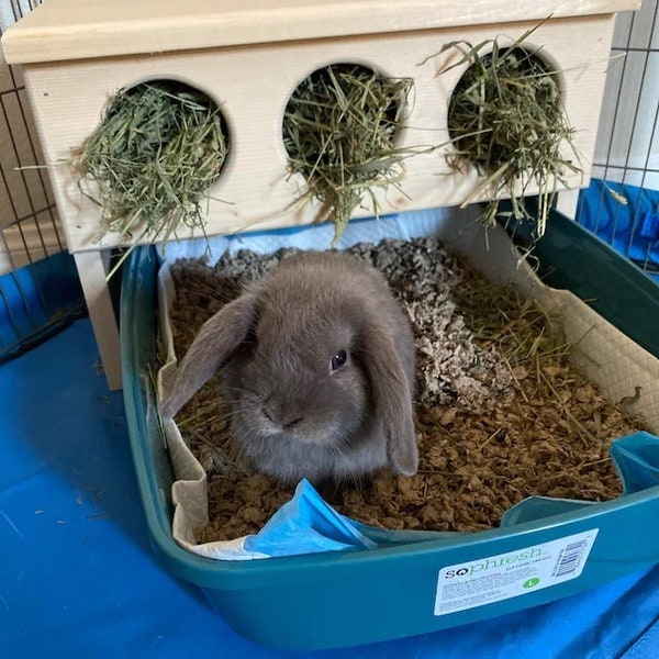 Elevated bunny rabbit hay feeder